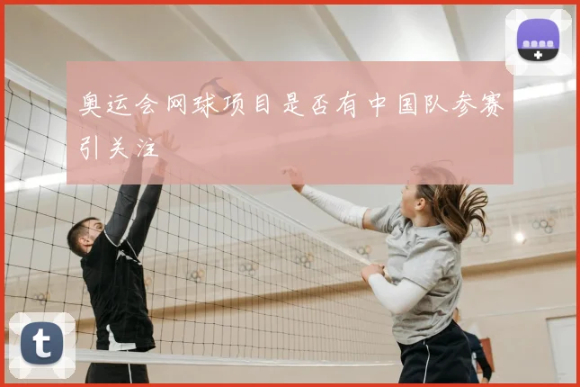 奥运会网球项目是否有中国队参赛引关注