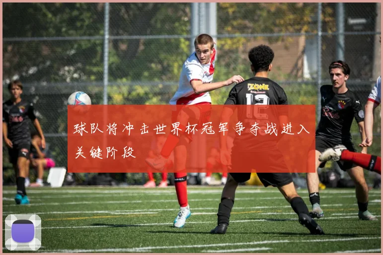 球队将冲击世界杯冠军争夺战进入关键阶段