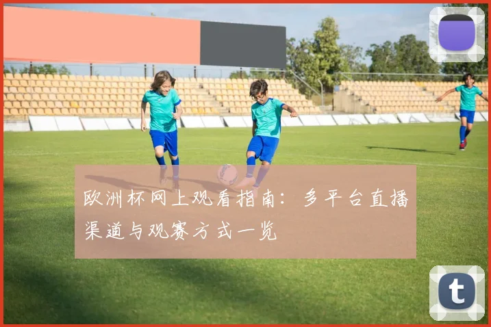 欧洲杯网上观看指南:多平台直播渠道与观赛方式一览