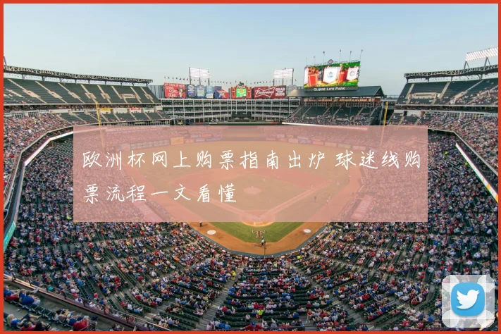 欧洲杯网上购票指南出炉 球迷线购票流程一文看懂